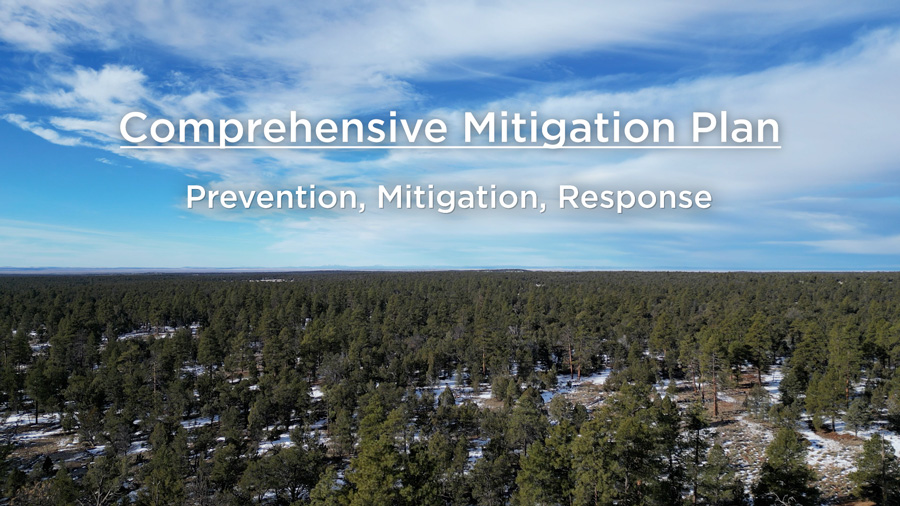Prevention, Mitigation and Response