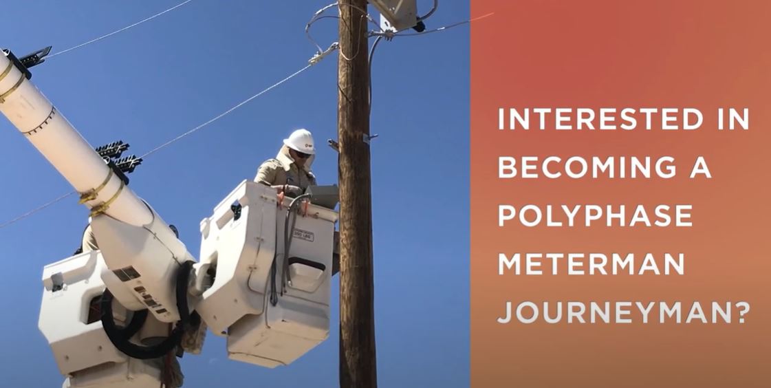 PreApprentice Polyphase Meterman