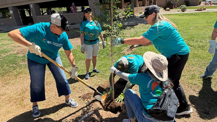 Community Tree Planting