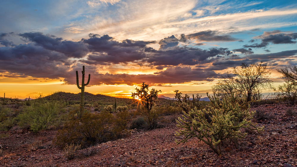 Desert sunset