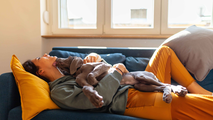 Person and their pet dog laying on the couch.