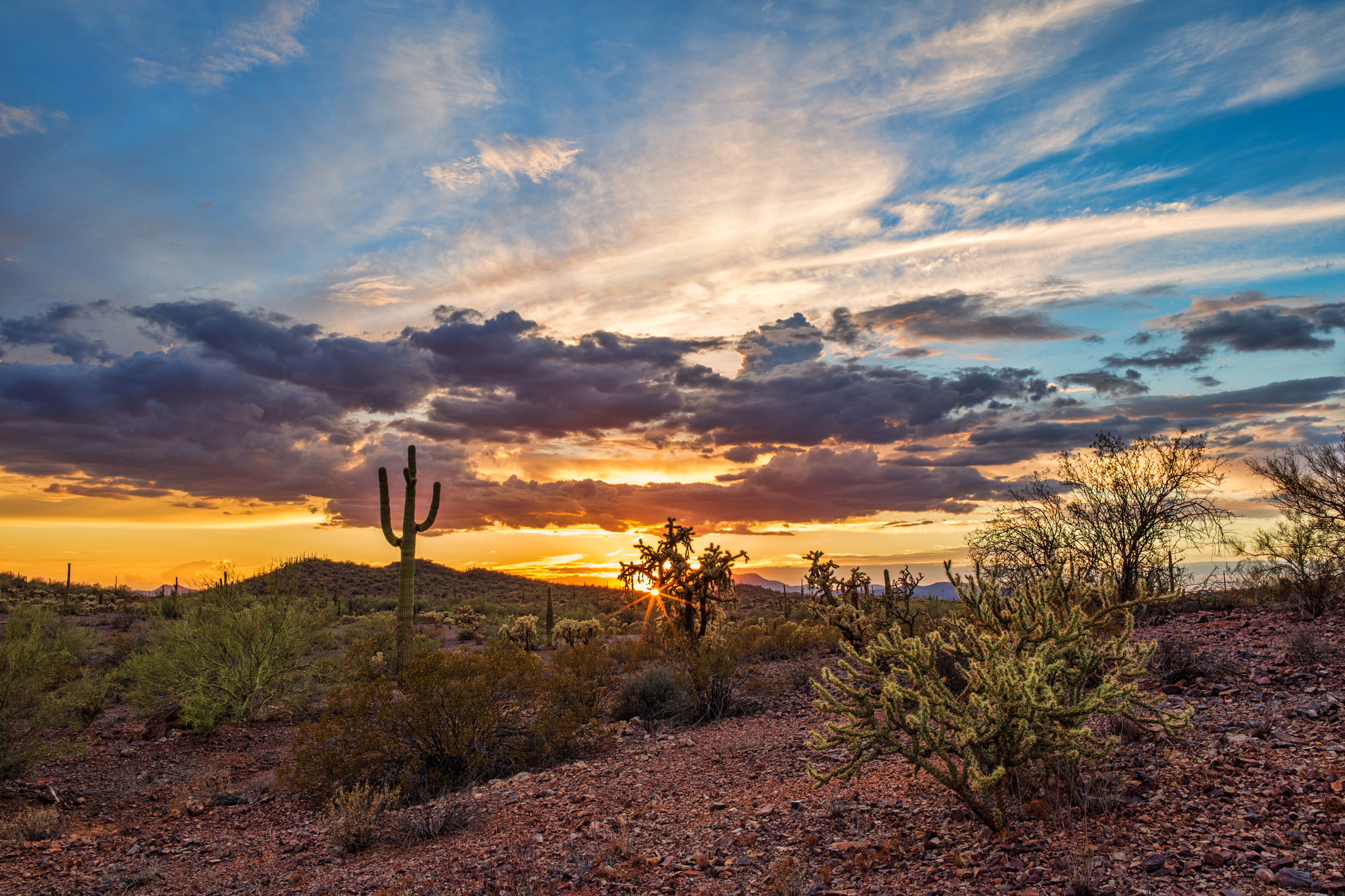 Amanecer sobre el desierto