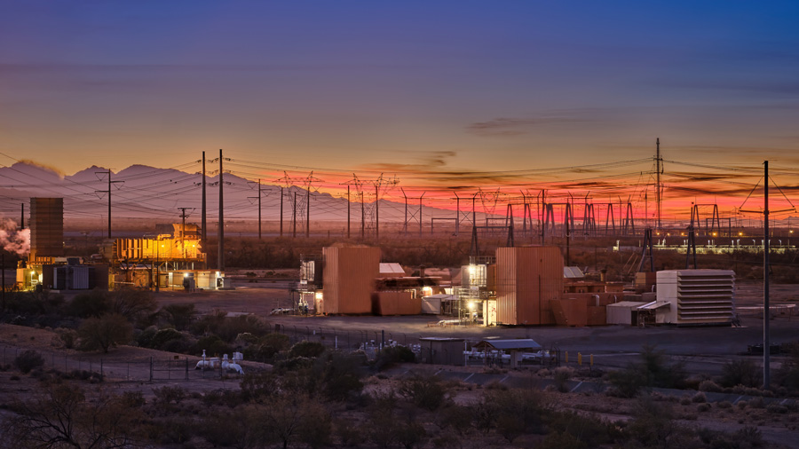 Saguaro plant against a sunset