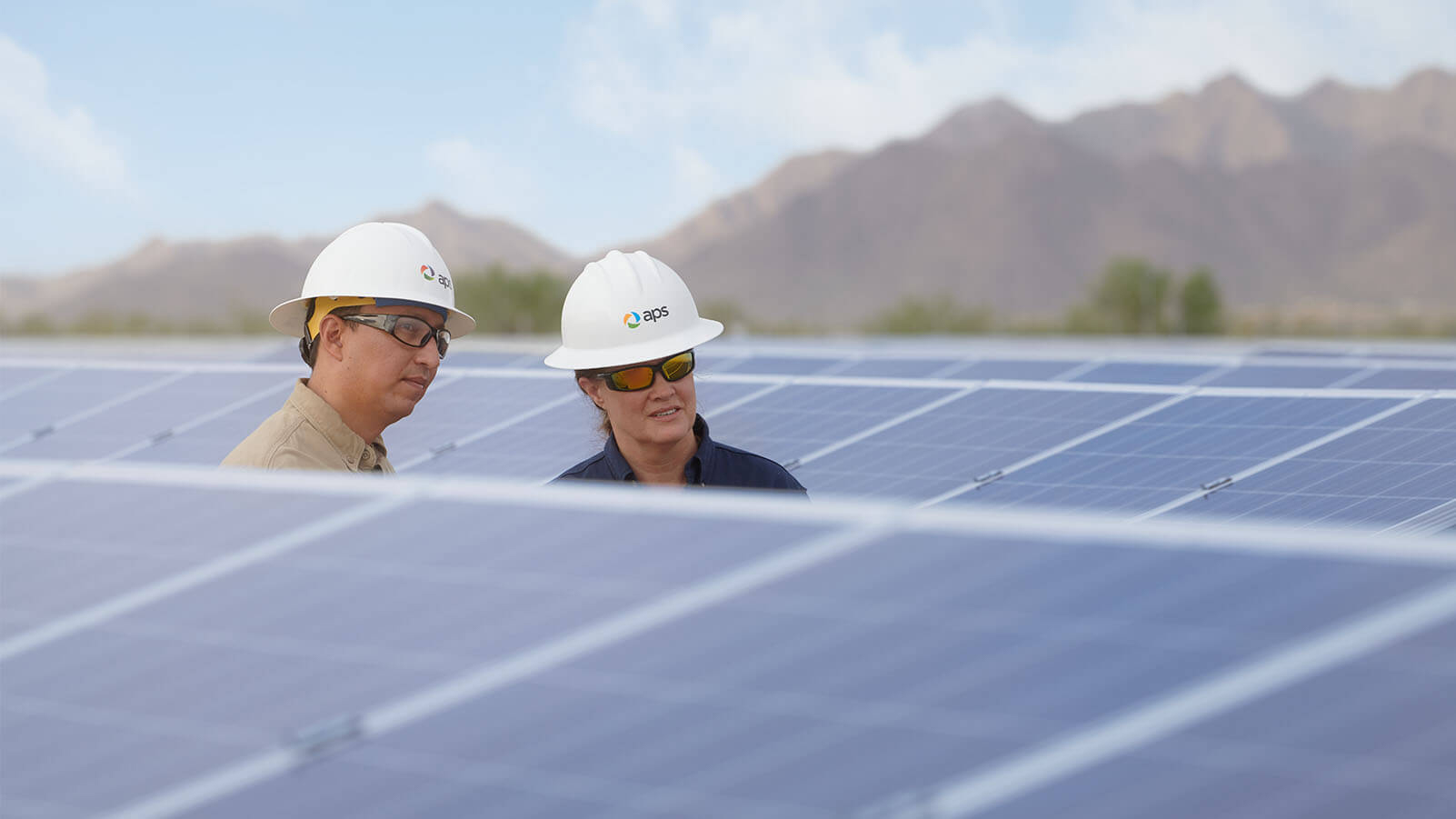 Solar panel field with APS employees.