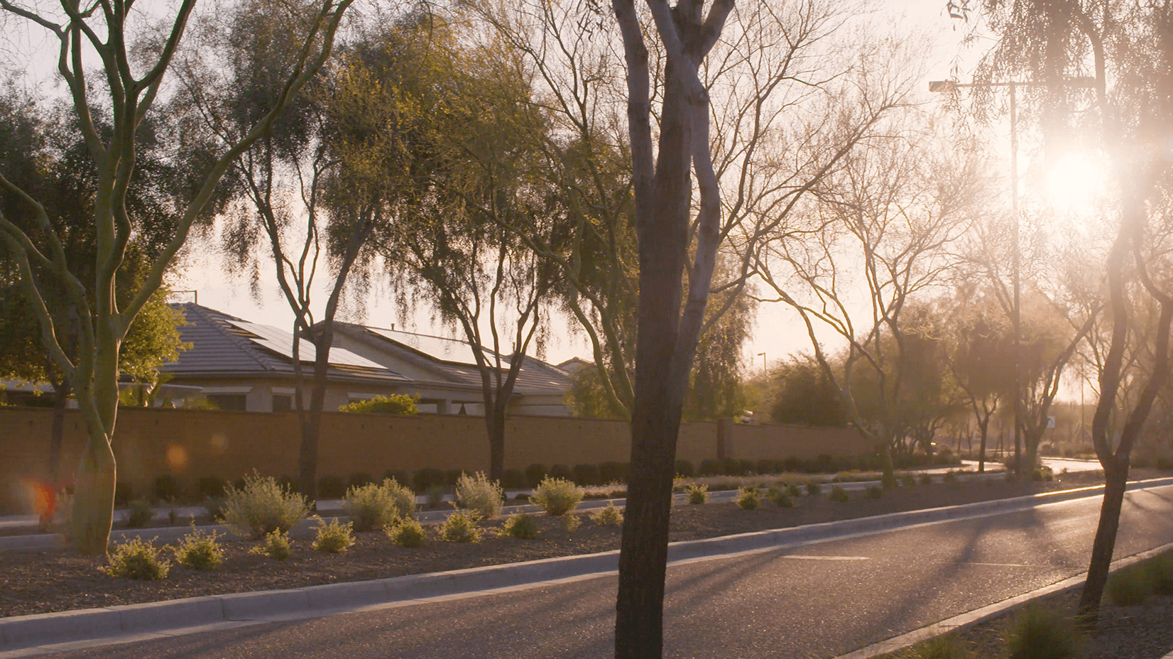 Rooftop solar at Festival Ranch along a road with trees.