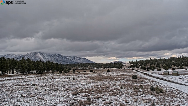 APS camera captures snowfall