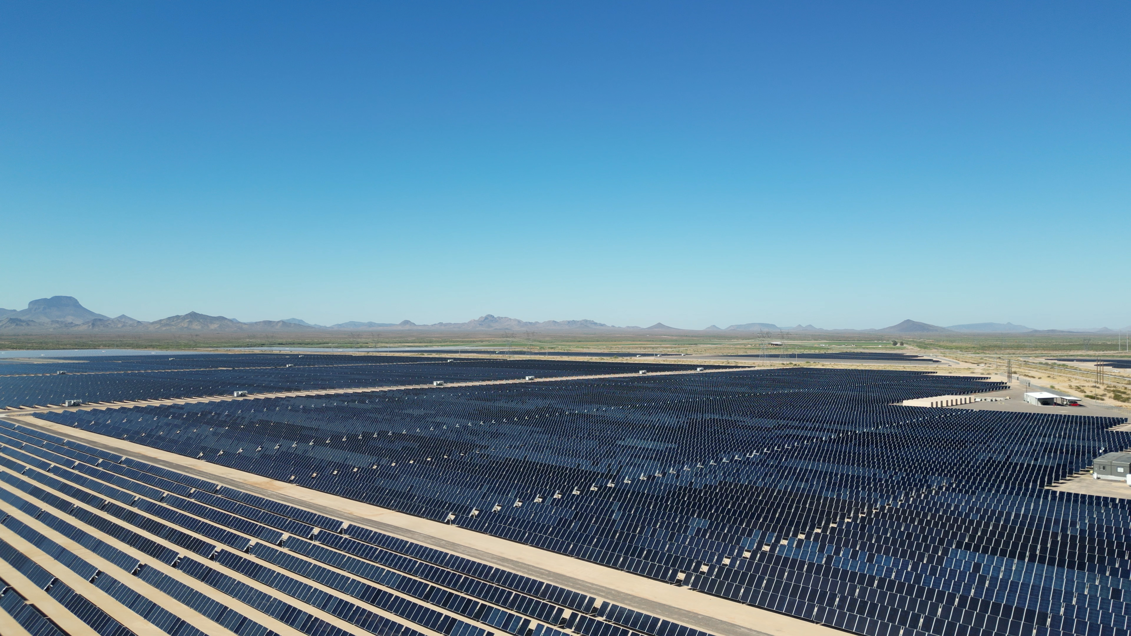 agave solar field