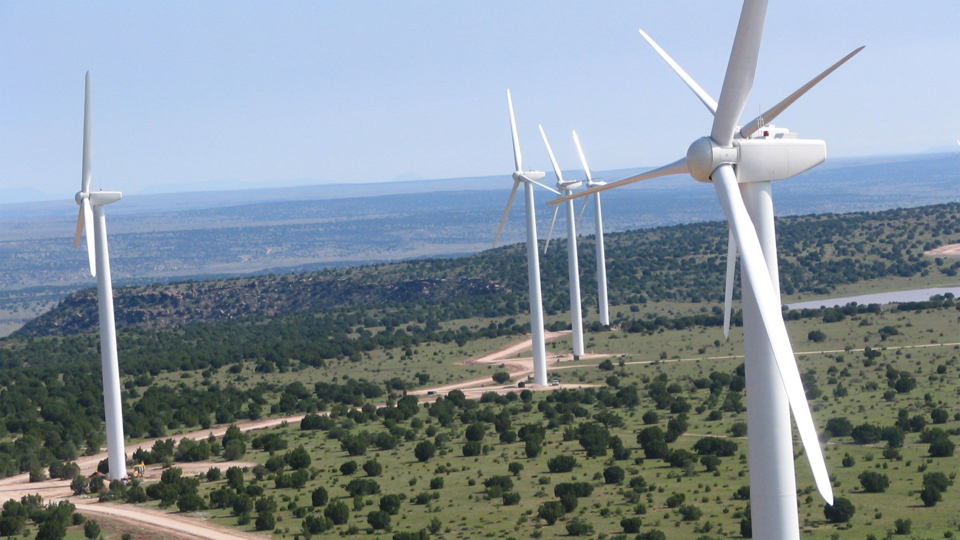 wind turbines in field 
