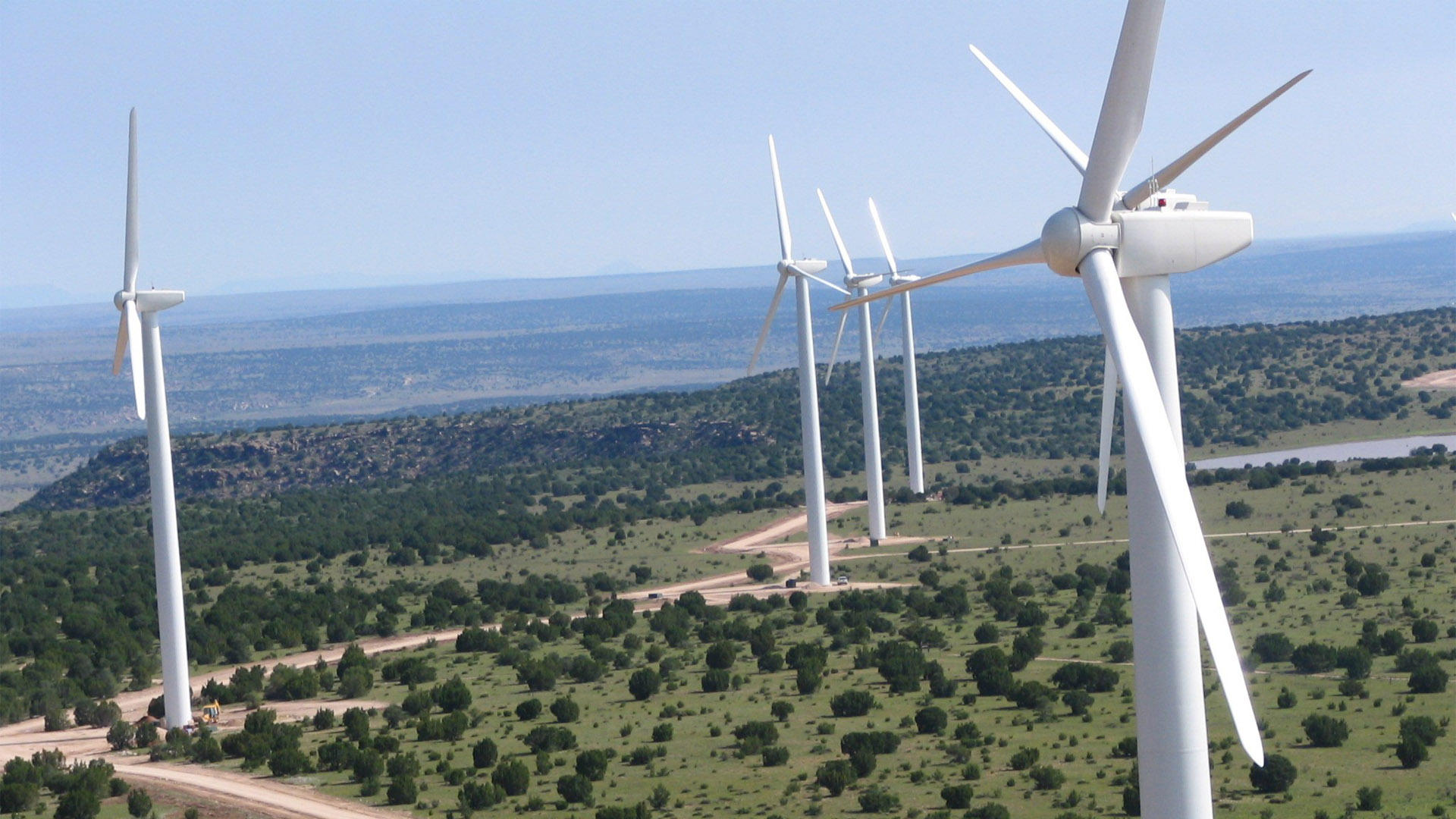 wind turbines in field