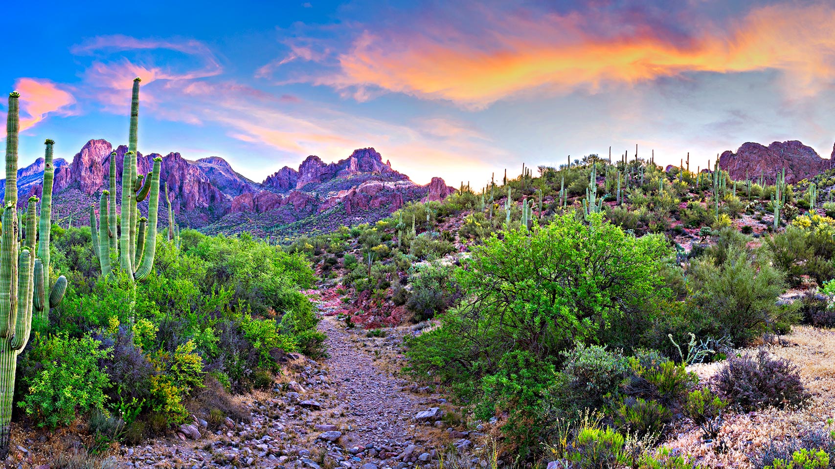 View of an Arizona landscape at sunset.