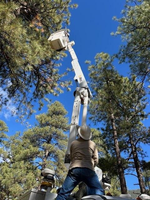 Bucket truck and bear rescue