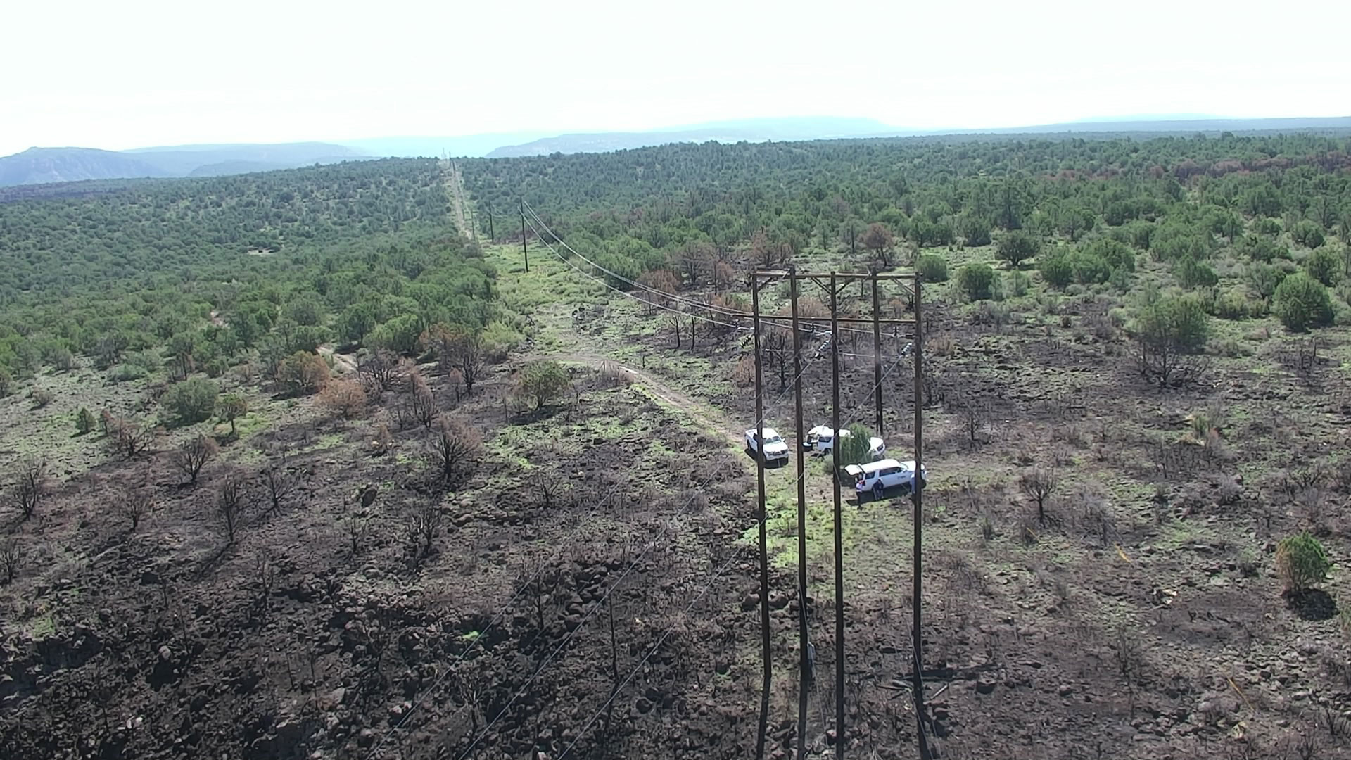 aerial view of transmission lines with wildfire damage around a portion of the lines