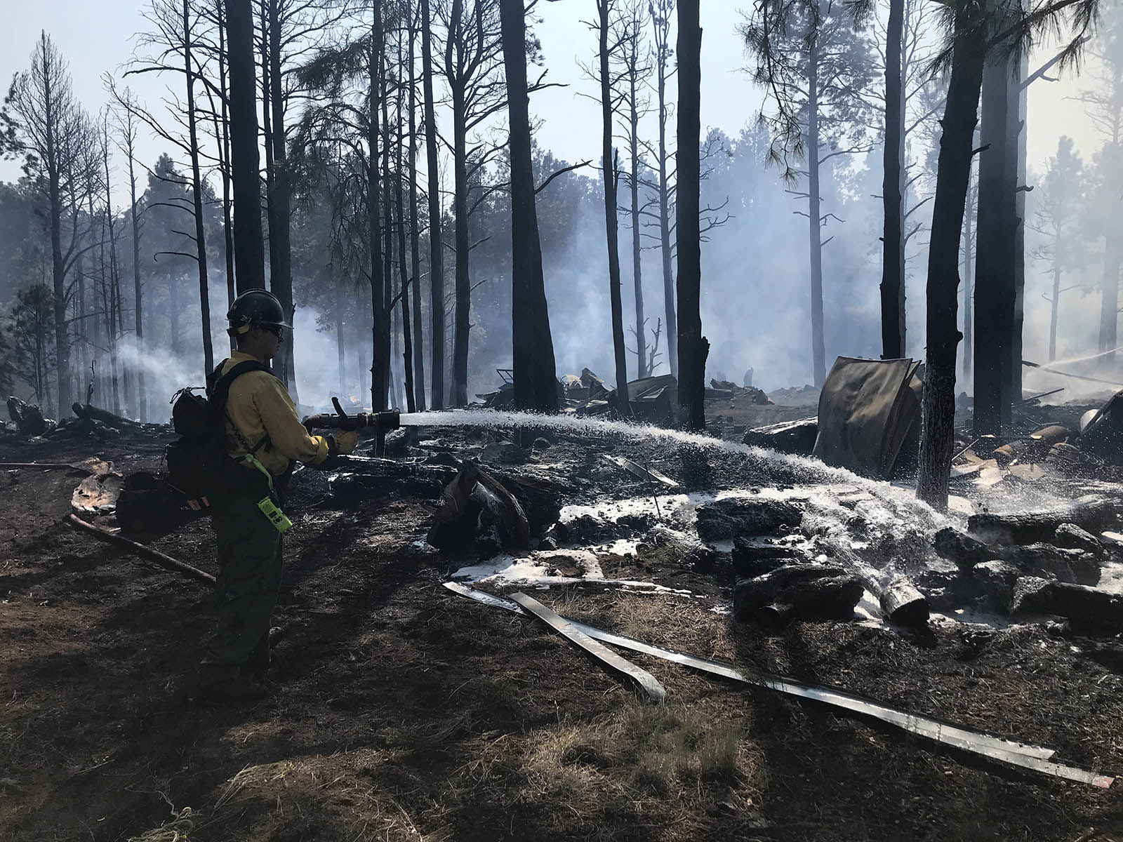 Fireman extinguishing fire in forest