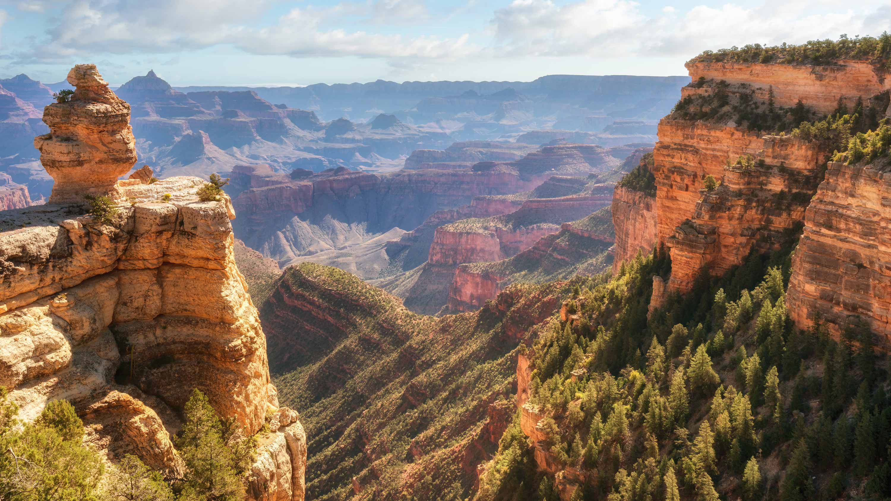 Landscape of the Grand Canyon