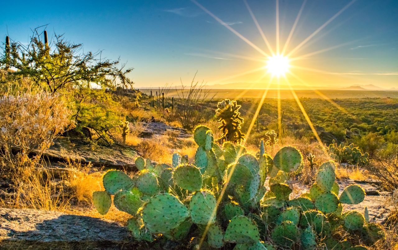Desert Sunset Landscape