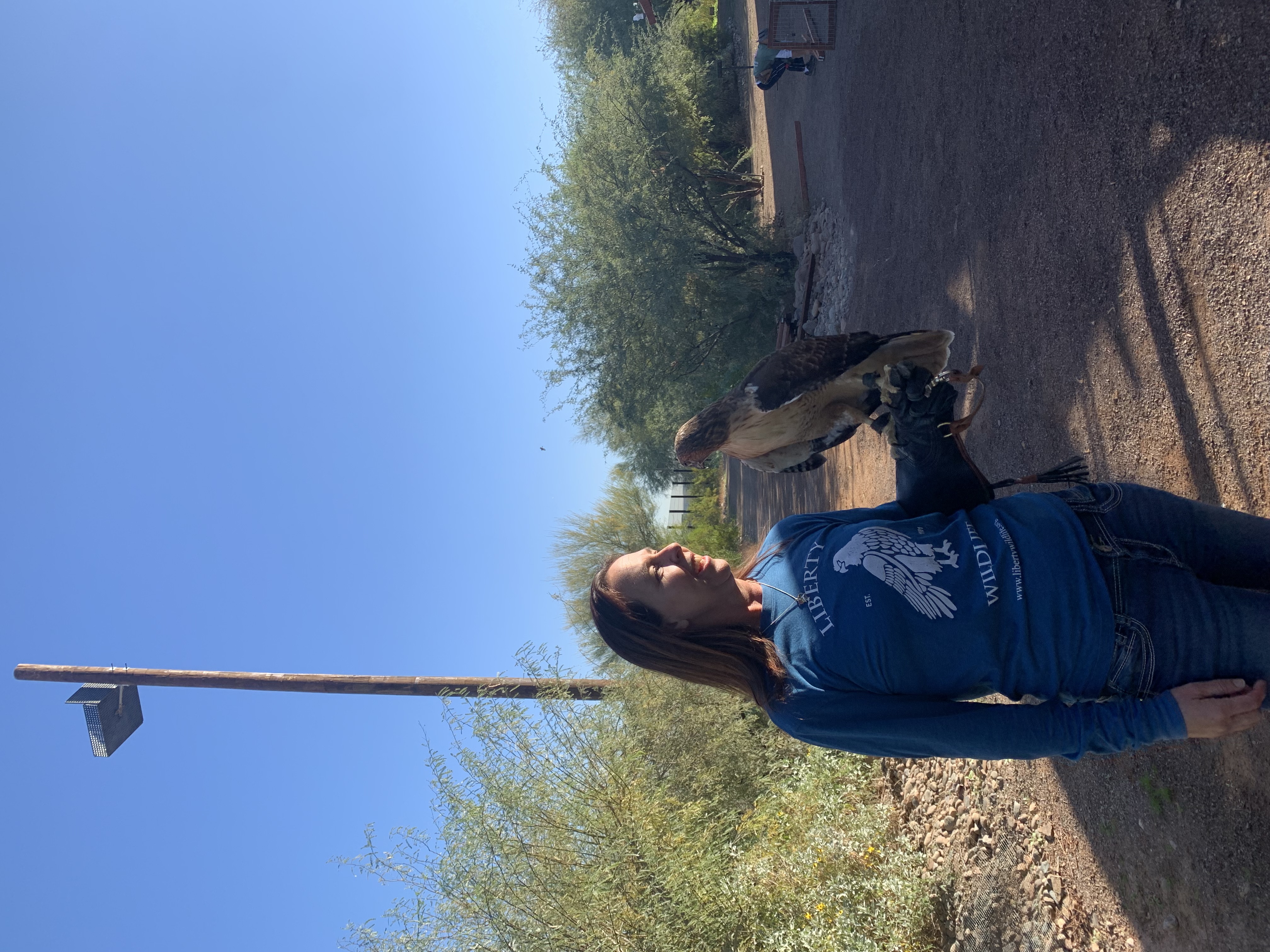 Liberty Wildlife Biologist Laura Hackett holds a hawk