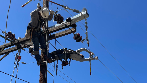 APS Celebrates National Lineworker Day
