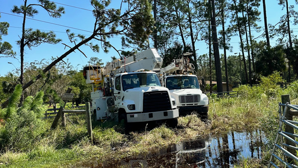 Bucket Trucks with a tree on a line in Palm Coast, Florida