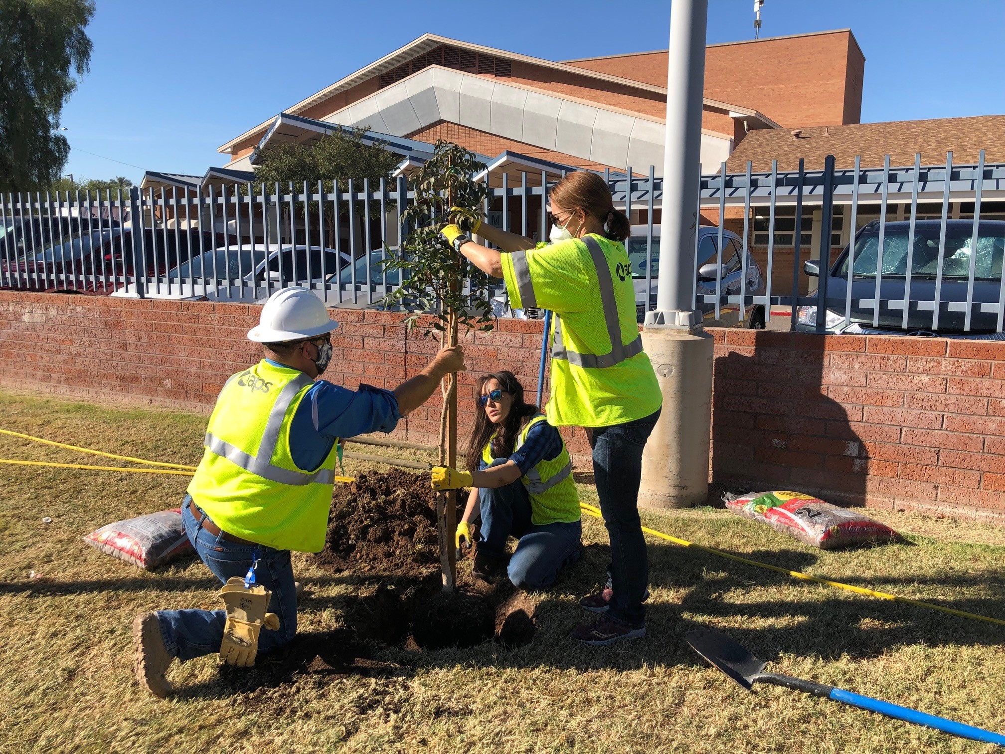 APS employees planting a tree in front of local high school