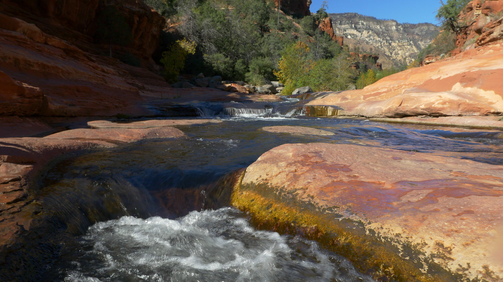 close-up view of water flowing over rocks in a stream