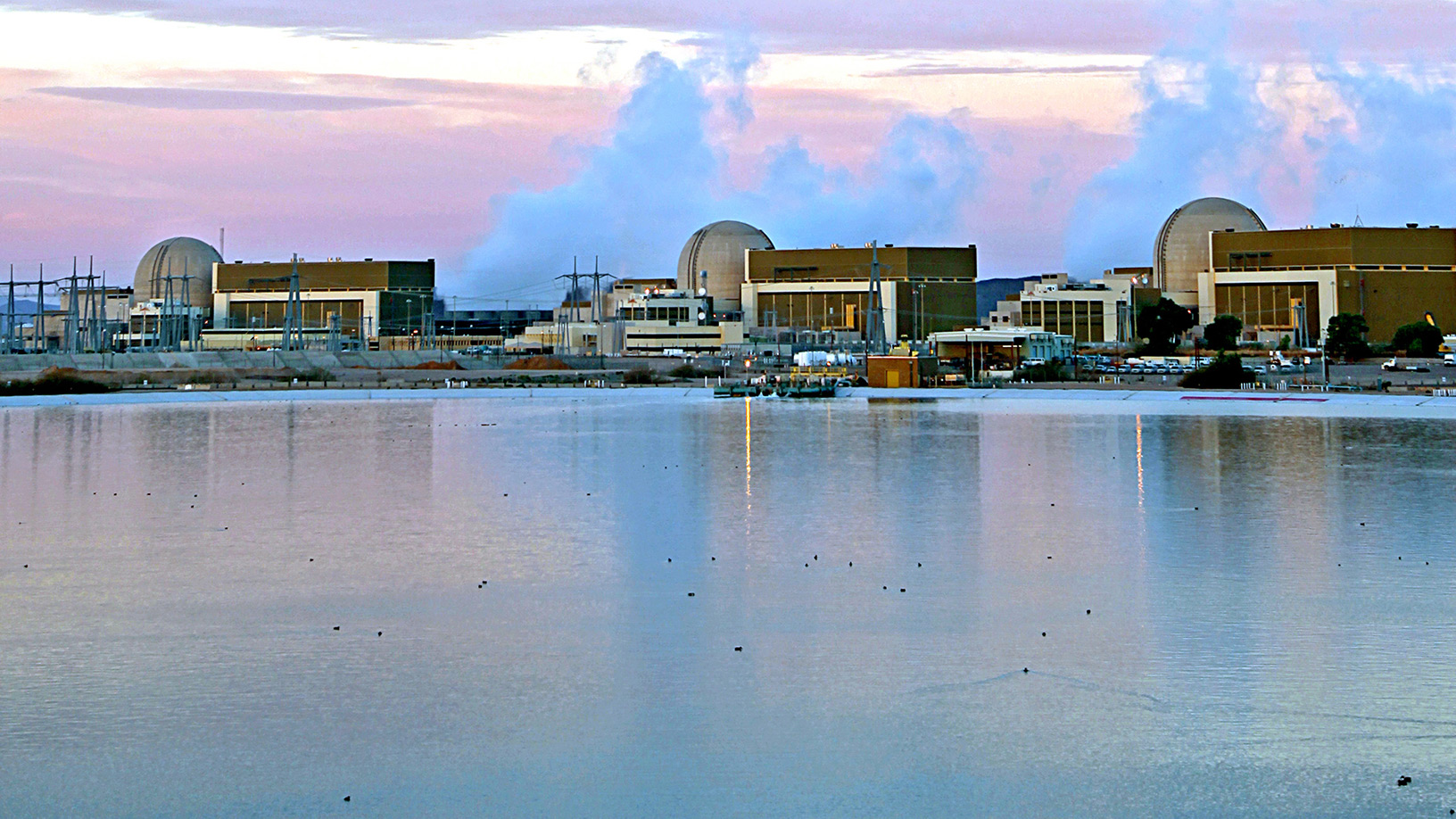 View of plant from water.