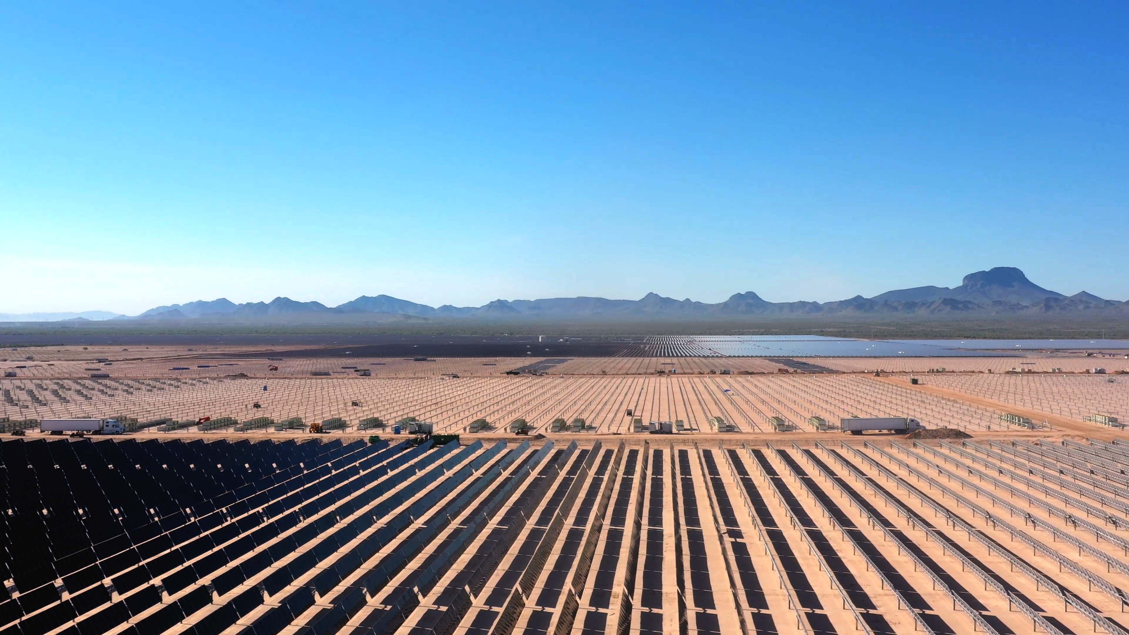 agave solar plant