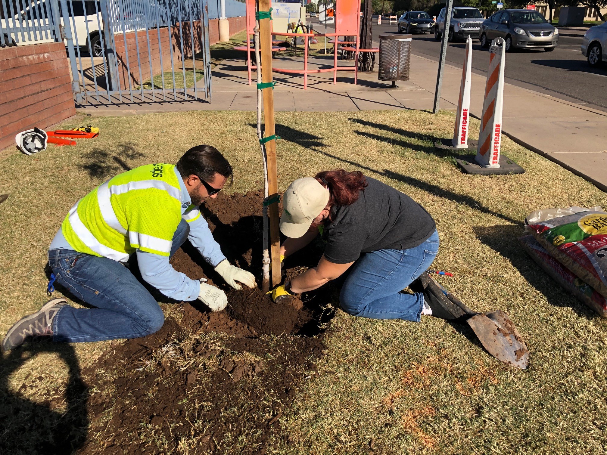 APS employees packing dirt around a newly planted tree