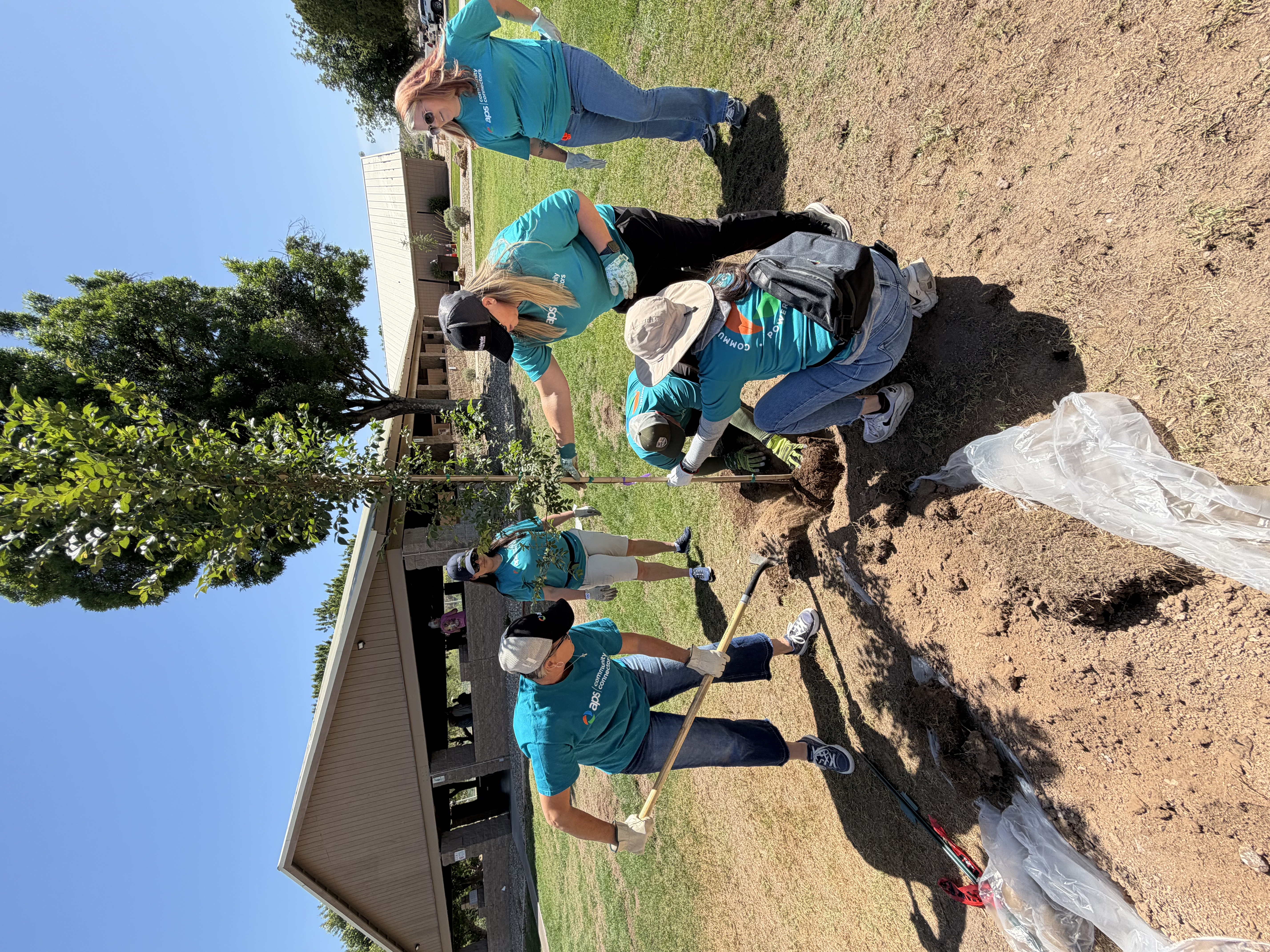 APS Employees planting trees in Wickenburg