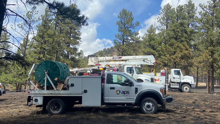 APS Crews working in the trees