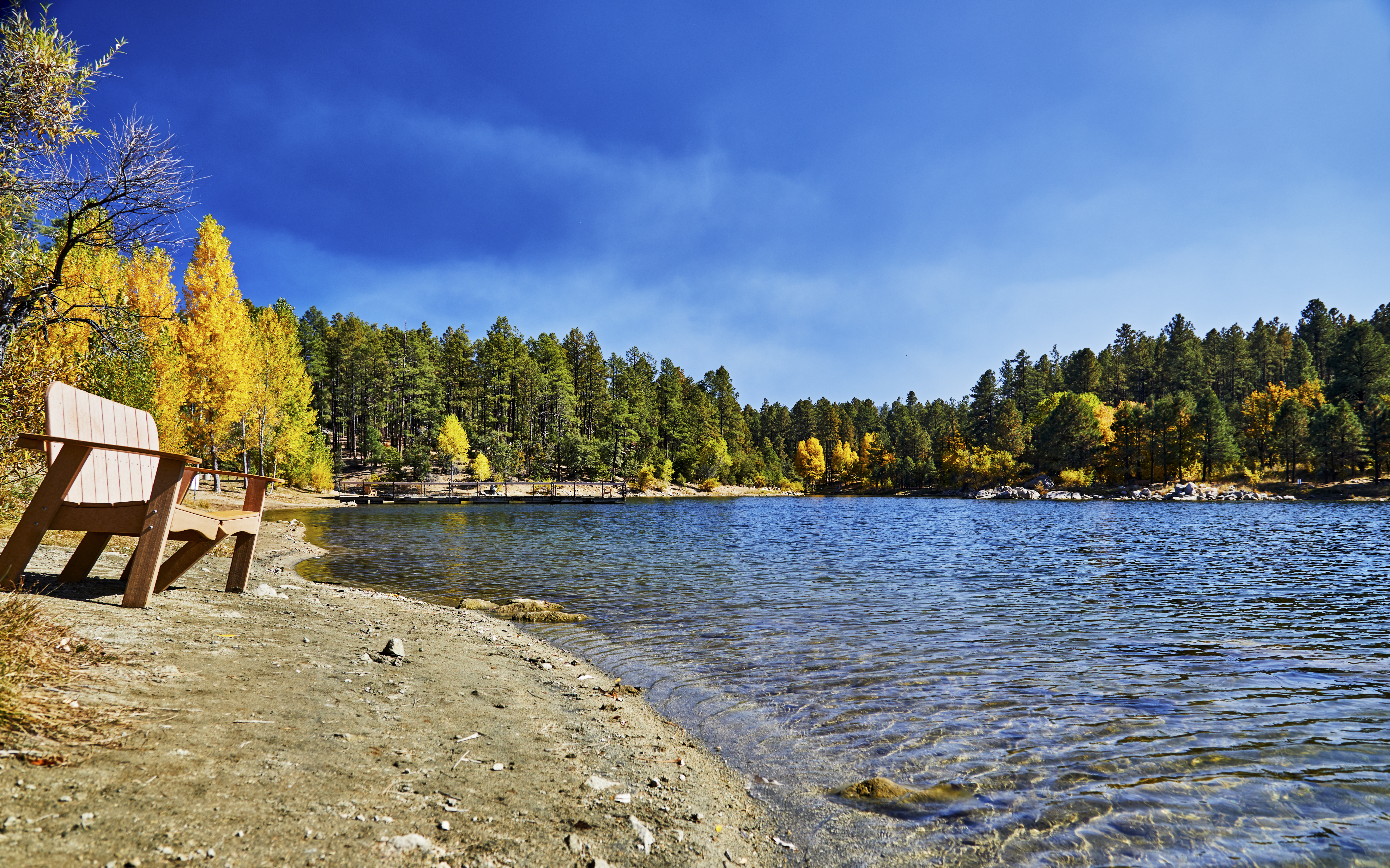 lake with clear blue water surrounded by pine trees 