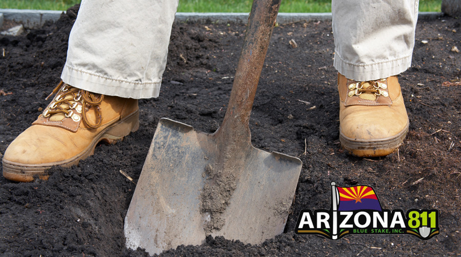 Person digging in a garden