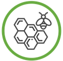 An icon of a bee over a honeycomb