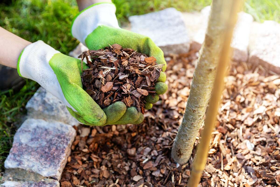 Gloved hands digging in mulch