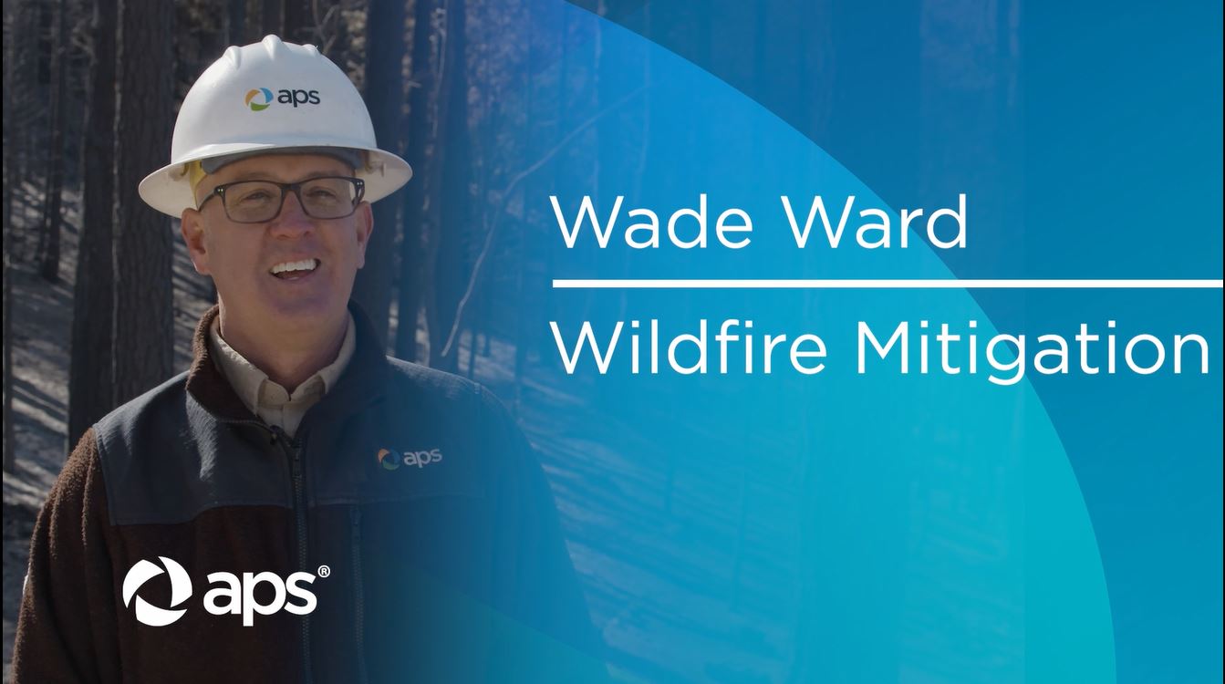 wade ward wildfire mitigation