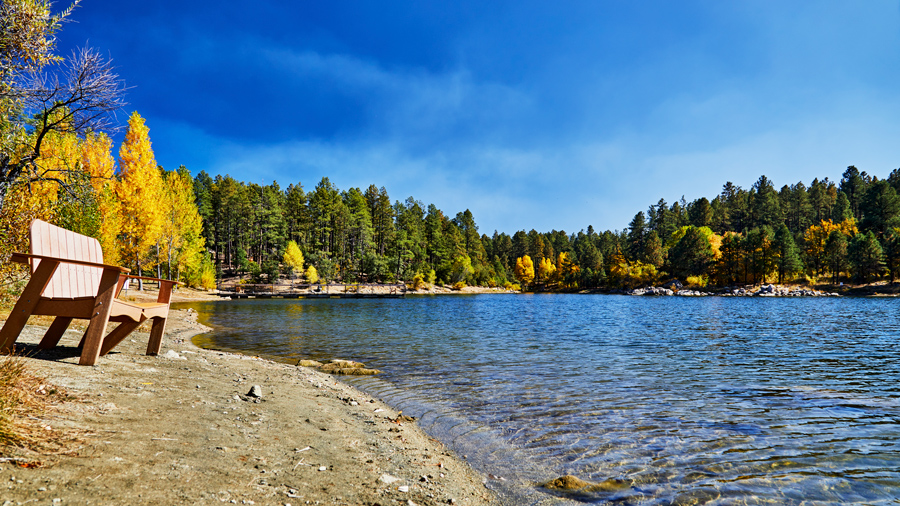 close up view of lake with surrounded by pine trees and a park bench on the shoreline