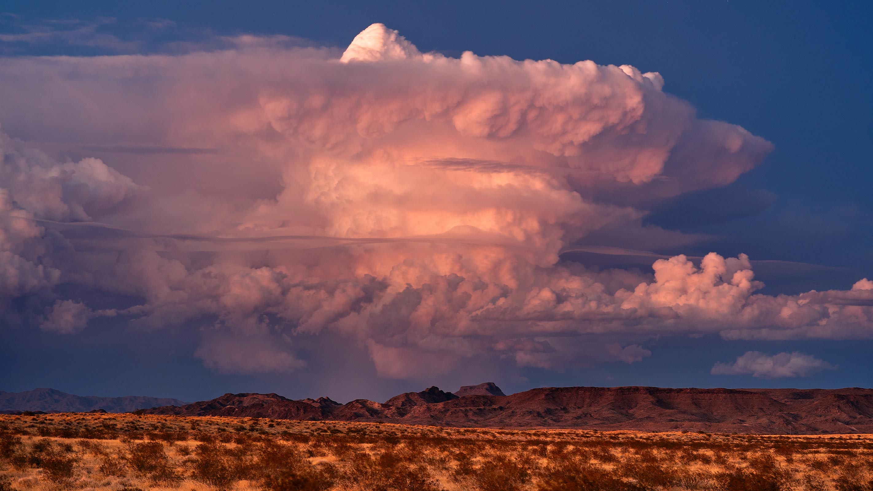 aps – Arizona Public Service Electric