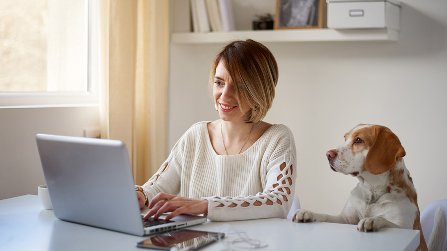 Woman using her laptop at the kitchen table with her dog.