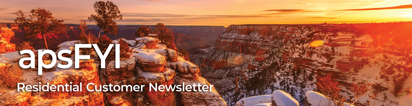 APS Newsletter masthead