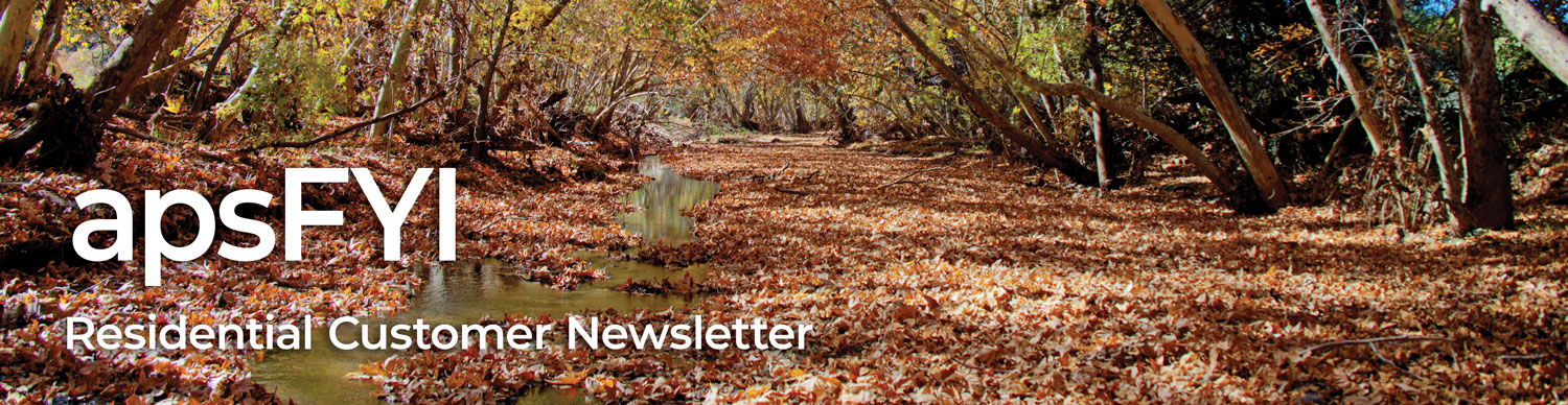 APS Newsletter masthead