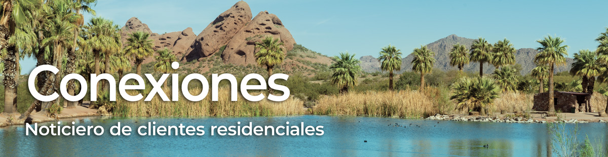 Conexiones - Papago Park