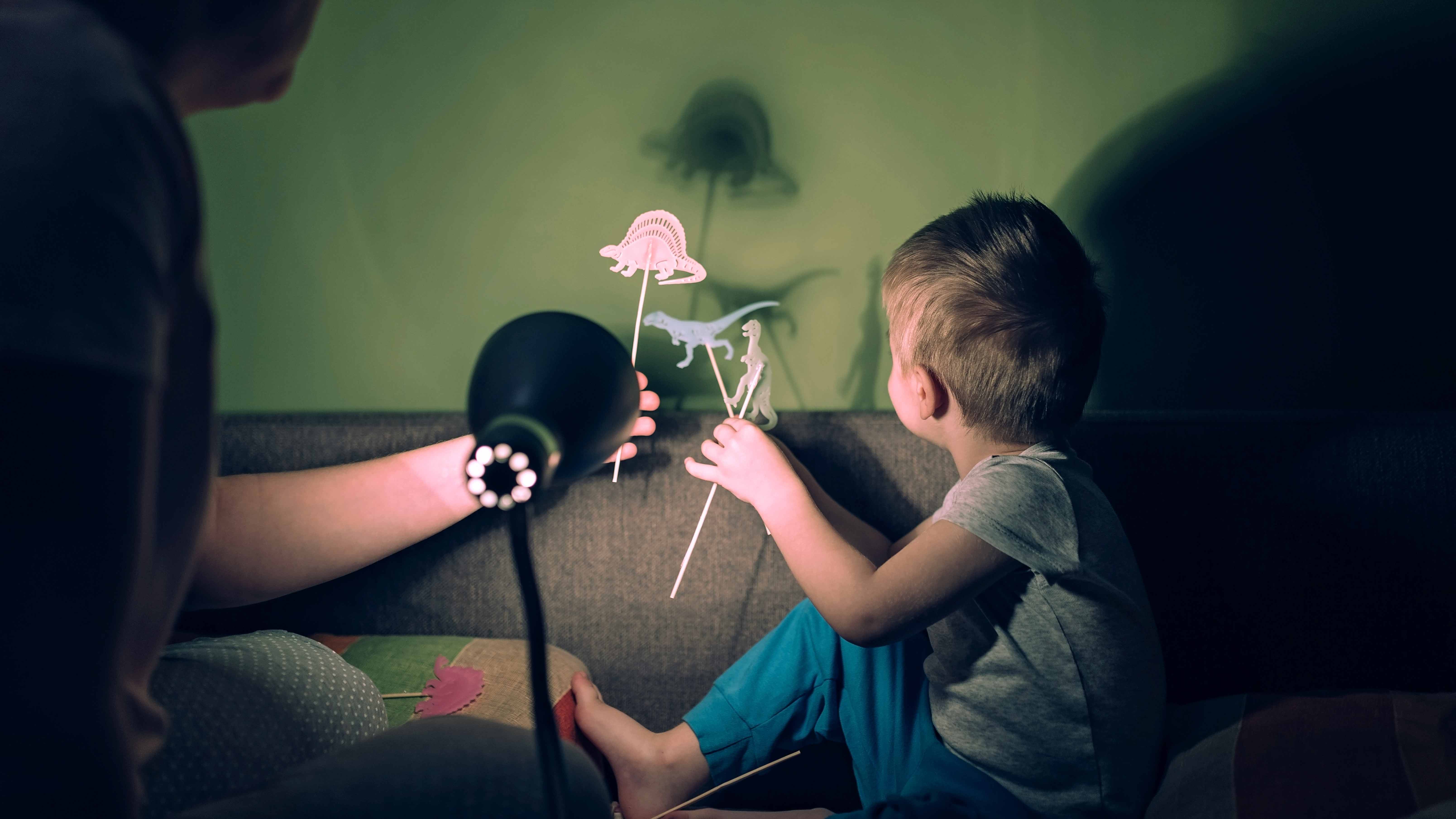 Small child making puppet shadows