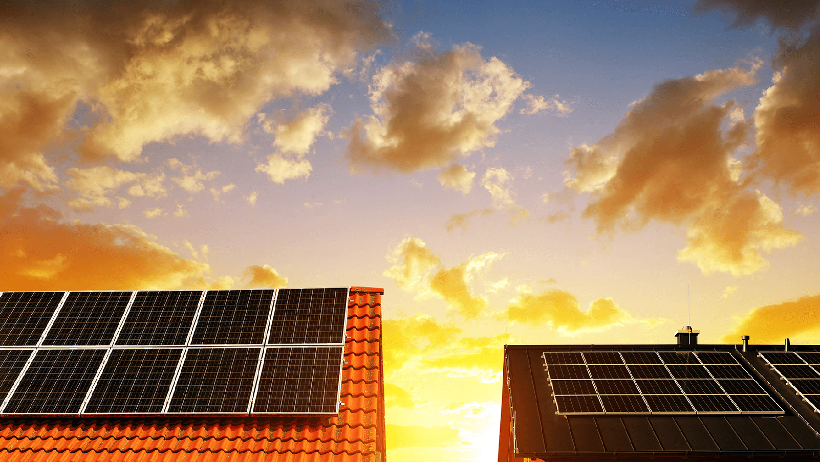 Rooftop solar on residential homes against a sunset.