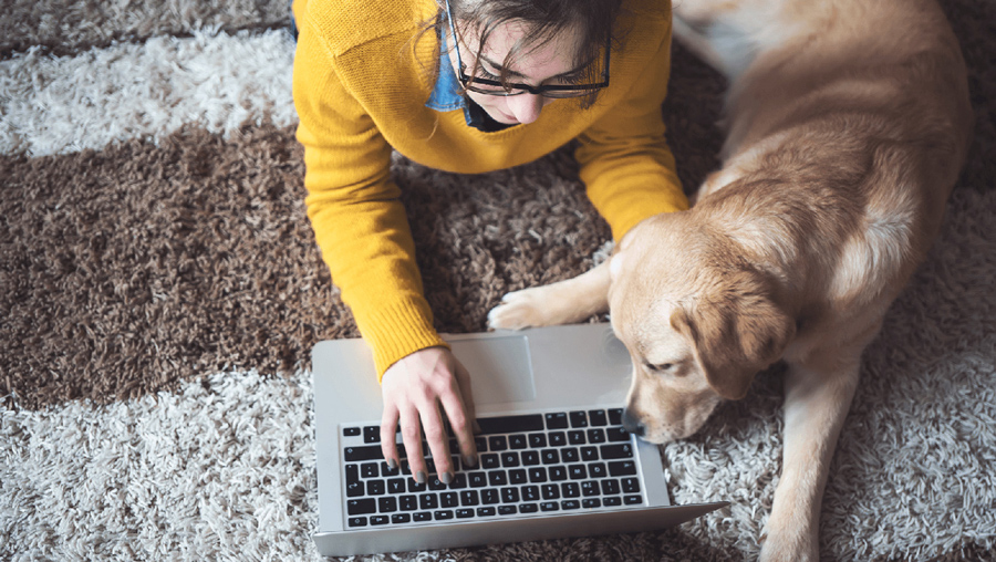 Woman lying on the carpet with her laptop and puppy.