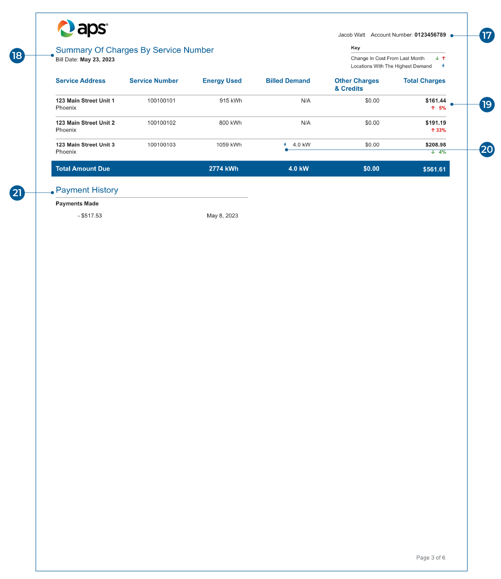 Summary Billing page 3