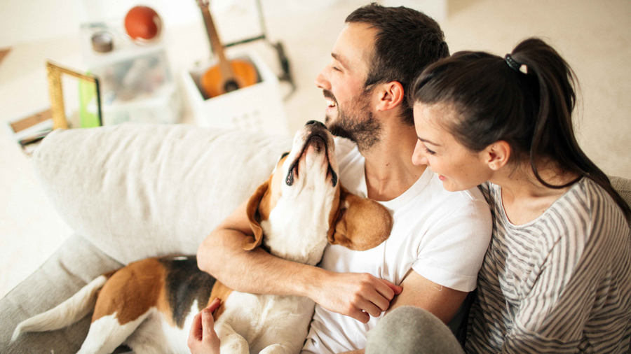A smiling man and woman sitting on the couch with their dog