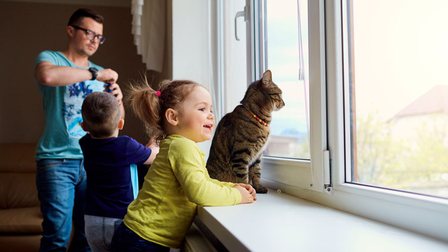 Little girl and a cat looking out a window